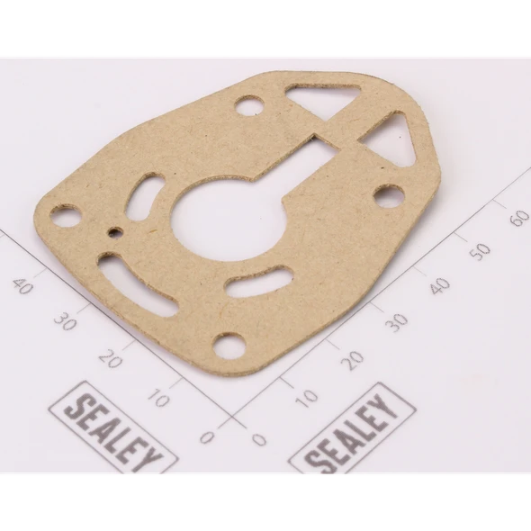 Sealey Rear Gasket