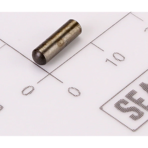 Sealey Pin