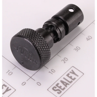 Sealey Air Regulator