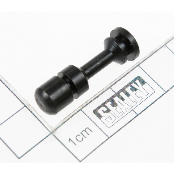 Sealey Valve stem