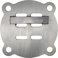 Sealey Valve Plate Assembly SAC10002-06