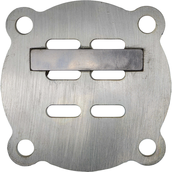 Sealey Valve Plate Assembly