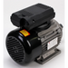 Sealey Motor (black fan cover two capacitors)