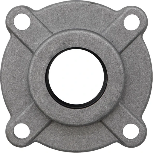 Sealey End Cover for Crankcase (B)