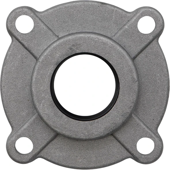 Sealey End Cover for Crankcase (B)