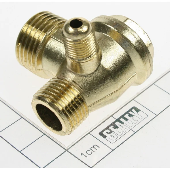 Sealey Check valve
