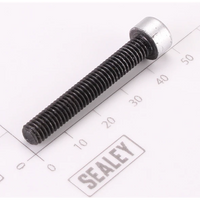 Sealey Cylinder head bolt SAC32055B.P42