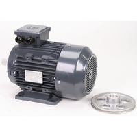 Sealey Motor/pulley kit SAC4151350000
