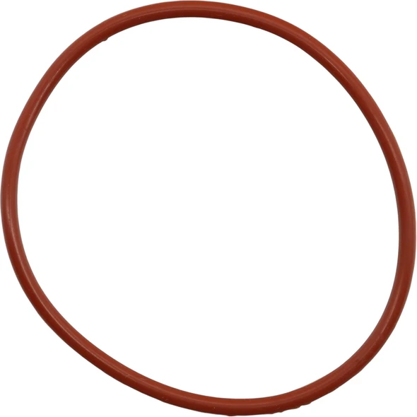 Sealey O-Ring for Cylinder