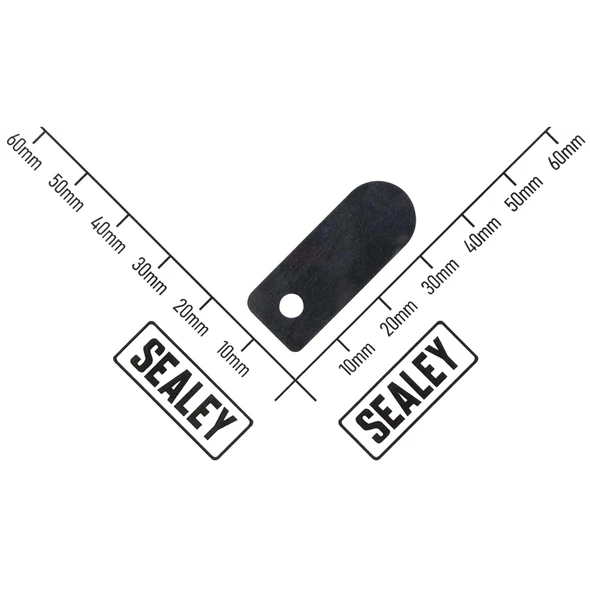 Sealey Valve Reed