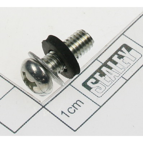 Sealey Screw