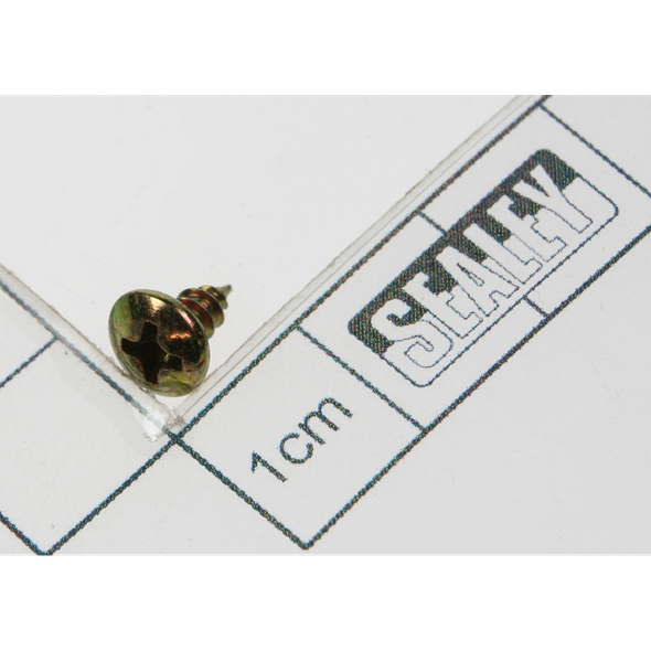 Sealey Screw