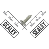 Sealey Screw SB970.V3-10