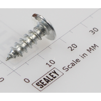 Sealey Rd head s/t screw m4.8 x 16 SB970.V3-11