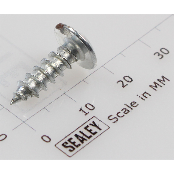 Sealey Rd head s/t screw m4.8 x 16