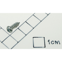 Sealey Rd head s/t screw m4x12 SB973.V3-39