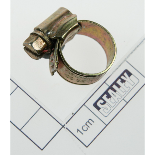 Sealey Hose clamp