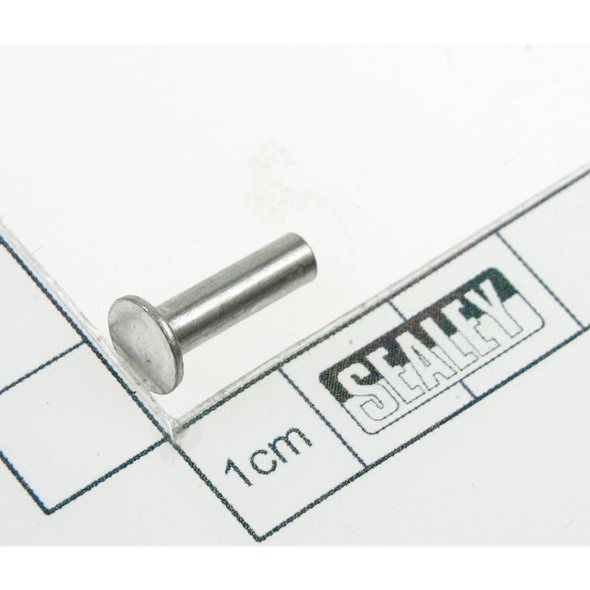 Sealey Pin