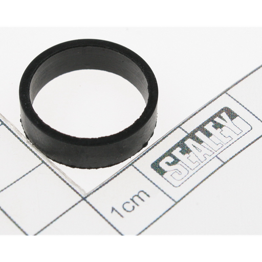 Sealey Damping ring