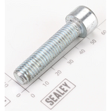 Sealey Socket Head Cap Screw M10x45 Zinc SCB1045.S