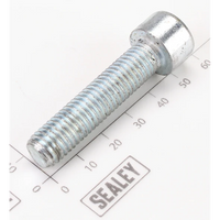 Sealey Socket Head Cap Screw M10x45 Zinc SCB1045.S
