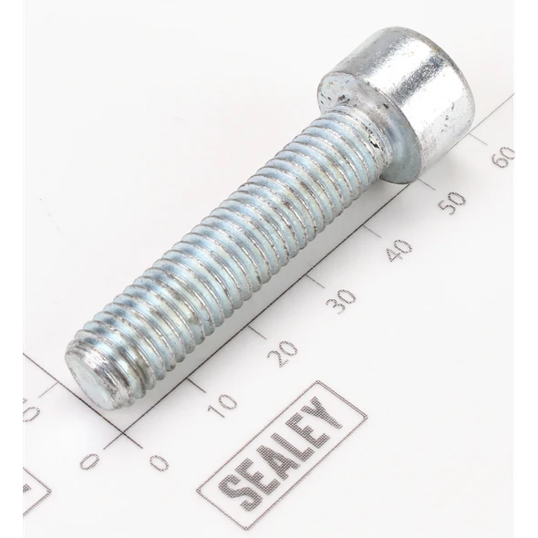 Sealey Socket Head Cap Screw M10x45 Zinc