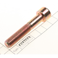 Sealey Socket cap bolt m10x55 SCB1055.S