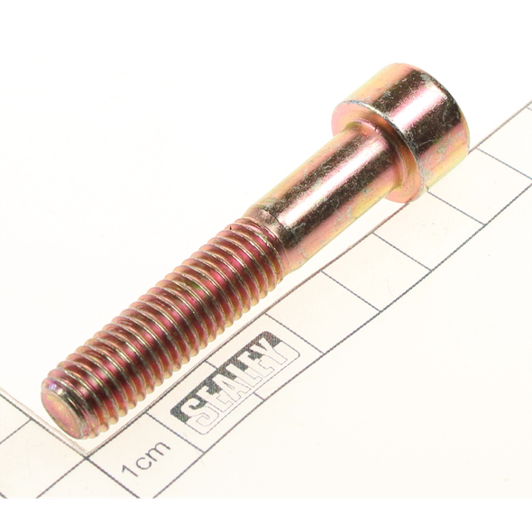Sealey Socket cap bolt m10x55