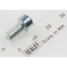 Sealey Socket cap bolt zinc m5x10