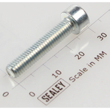 Sealey Socket cap bolt zinc m5x25 SCB525.S