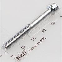 Sealey Socket cap bolt zinc m5x45 SCB545.S