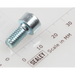 Sealey Socket cap bolt zinc m6x12