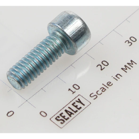Sealey Socket cap bolt zinc m6x16