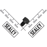 Sealey Socket head cap screw zinc m6x8 SCB68.S