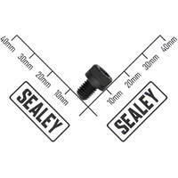 Sealey Socket head cap screw zinc m6x8 SCB68.S