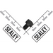 Sealey Socket head cap screw zinc m6x8
