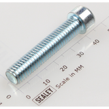 Sealey Socket cap bolt zinc m8x40 SCB840.S
