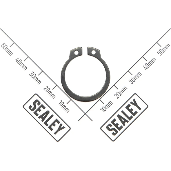 Sealey Retaining screw