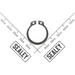 Sealey Retaining screw