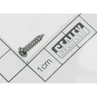 Sealey Rd head s/t screw m2.8 x 10 SDM30.V2-77