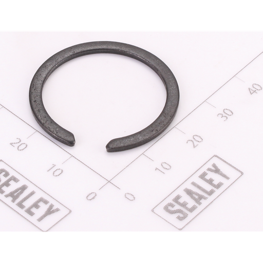 Sealey Damping Ring