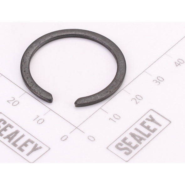 Sealey Damping Ring