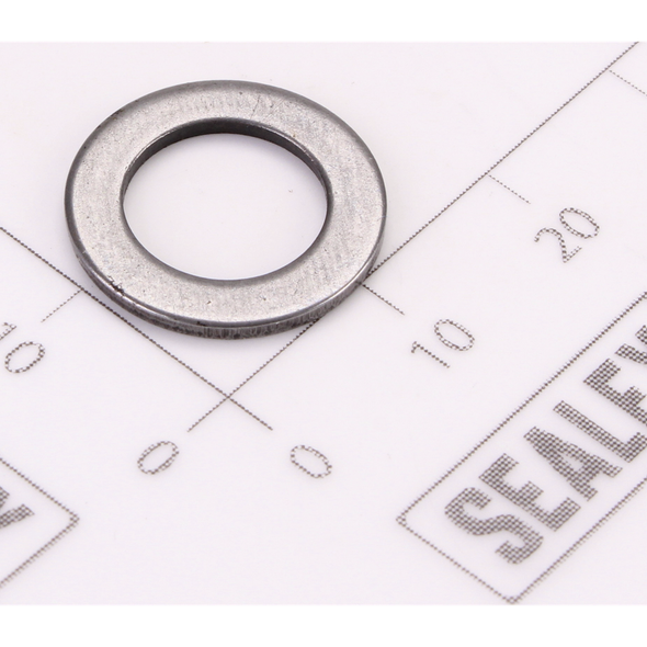 Sealey Cylinder Washer