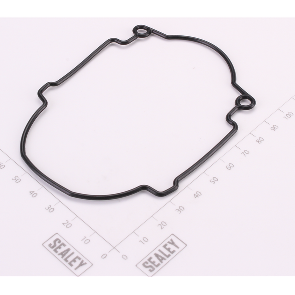 Sealey Gearbox Seal