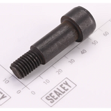 Sealey Damping Screw SDSPLUS32.54