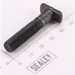 Sealey Auxiliary Handle Centre Screw