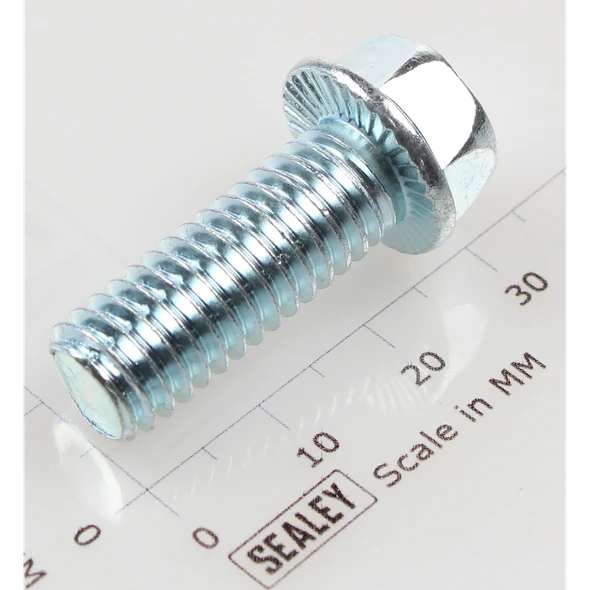 Sealey Hex head flange bolt m10x25 single