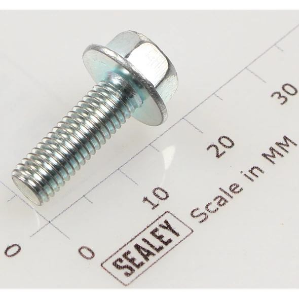 Sealey Hex Head Flange Bolt M5 X 16 Zinc
