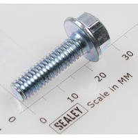 Sealey Hex head flange bolt m6x22 single SFS622.S