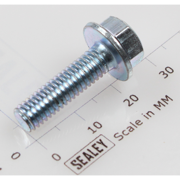 Sealey Hex head flange bolt m6x22 single